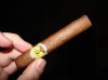 bolivarcoronasjunior1.jpg