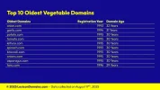 Lexicon_Domains_Vegetable_Domain_Name_Stats_Slide7.webp